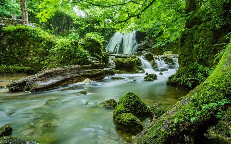 高性能智慧工厂